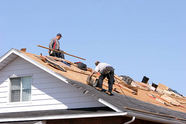 Sheet Metal Roofing in Diaz, AR